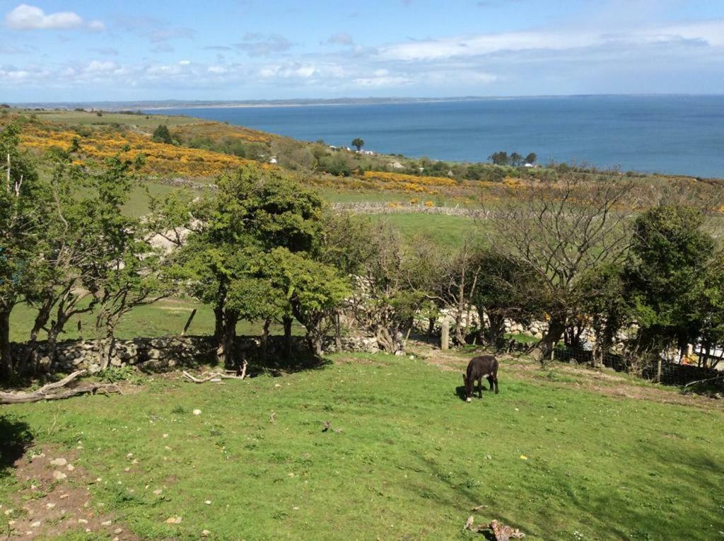 Stunning Views At Ballagh Cottage Newcastle Newcastle  Exterior foto